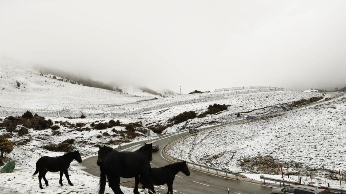 El temporal deixa talls d'electricitat a Menorca