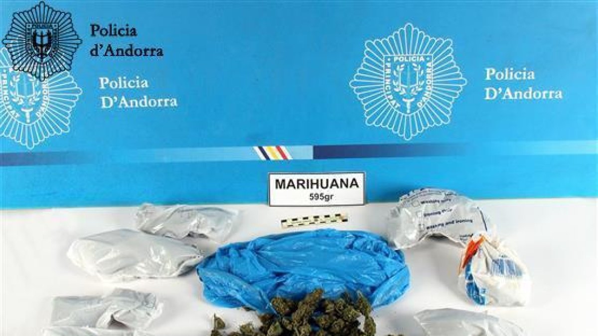 Detinguts dos joves amb 595 grams de marihuana en l'habitació d'un hotel
