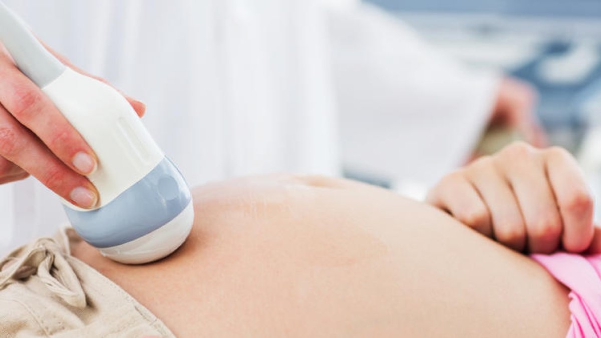 L'executiu aparca la regulació de la maternitat subrogada