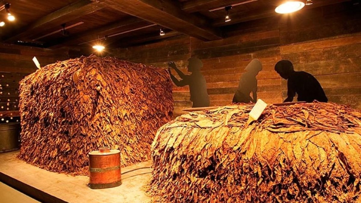 'Escape room' al Museu del Tabac