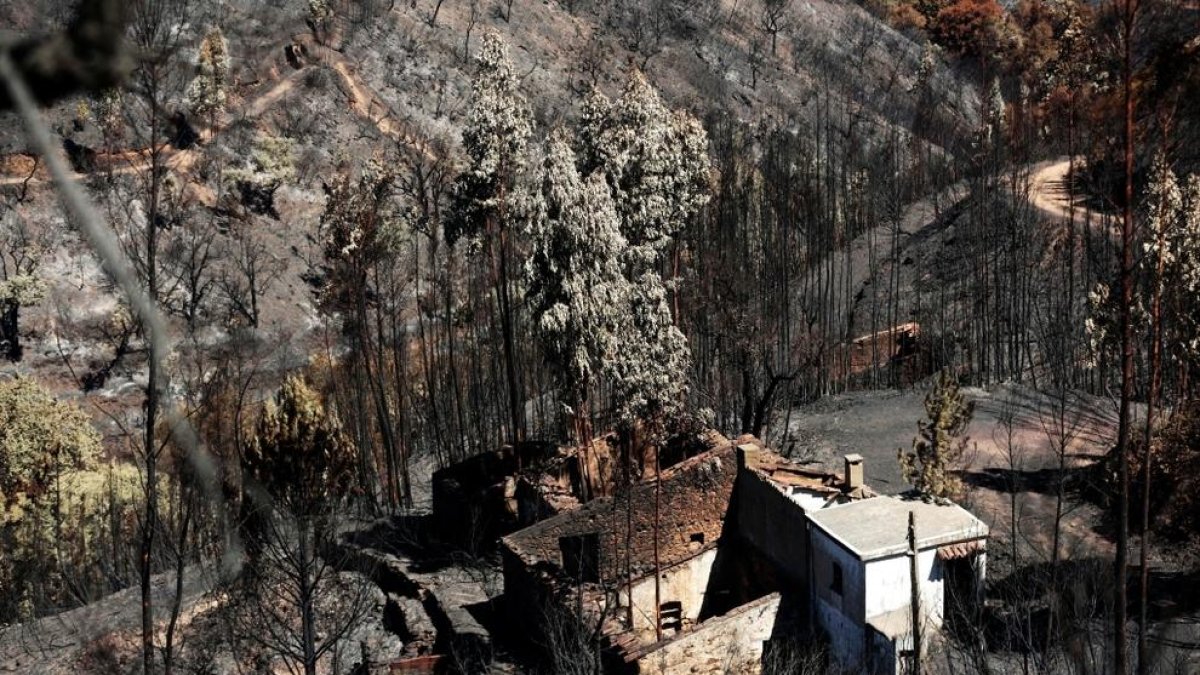 Controlat el foc a l'Algarve després d'una setmana