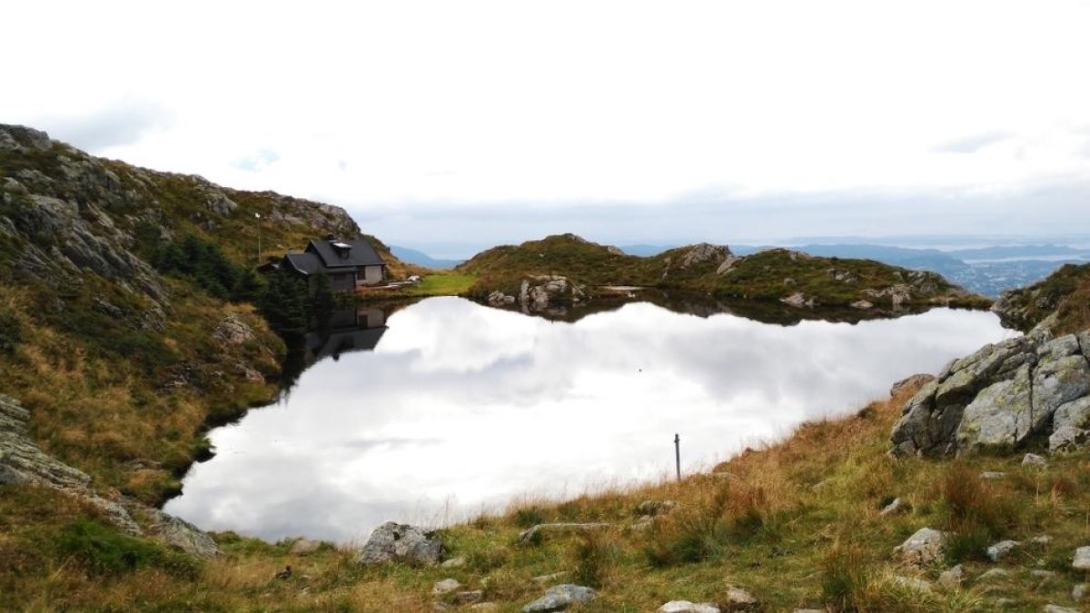 El cim més alt i salvatge