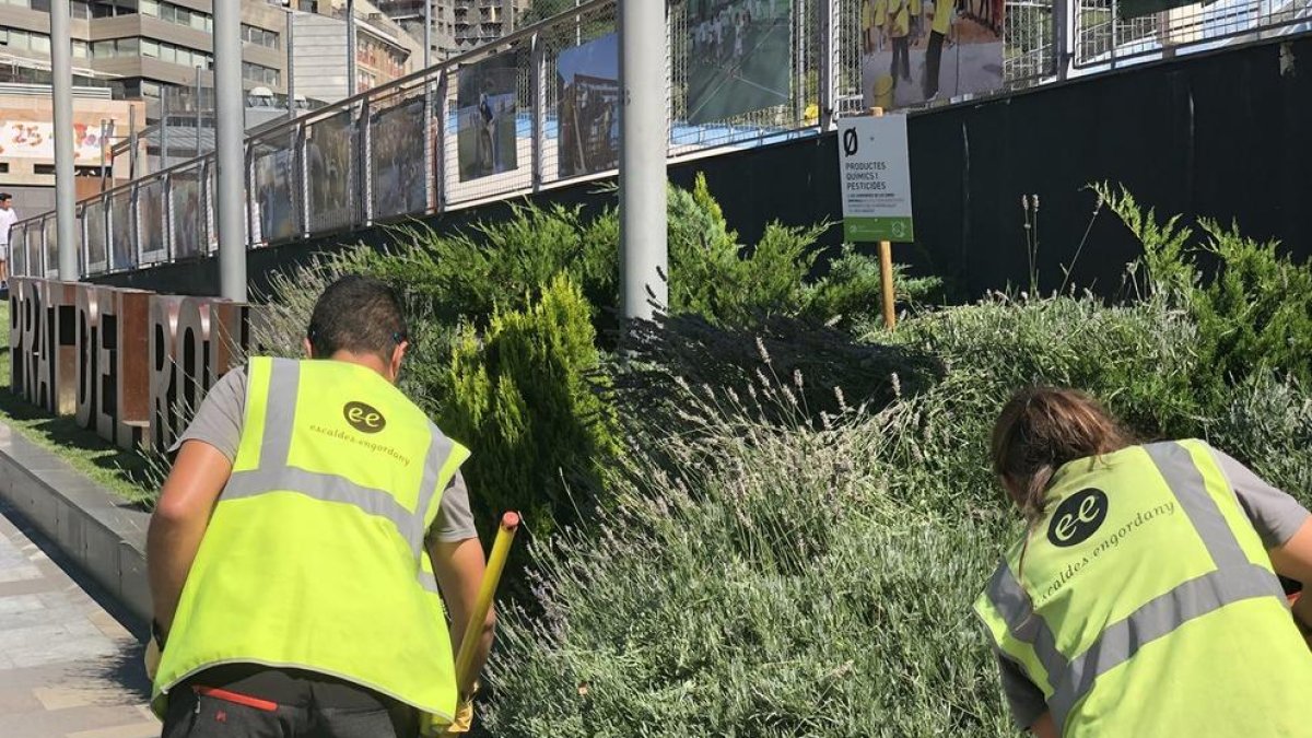 Escaldes-Engordany torna amb  'Zero productes químics'