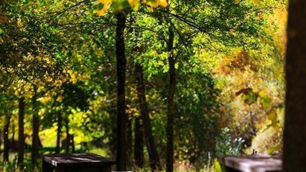 El Govern millorarà la “degradada” zona de pícnic de Torrent Pregó