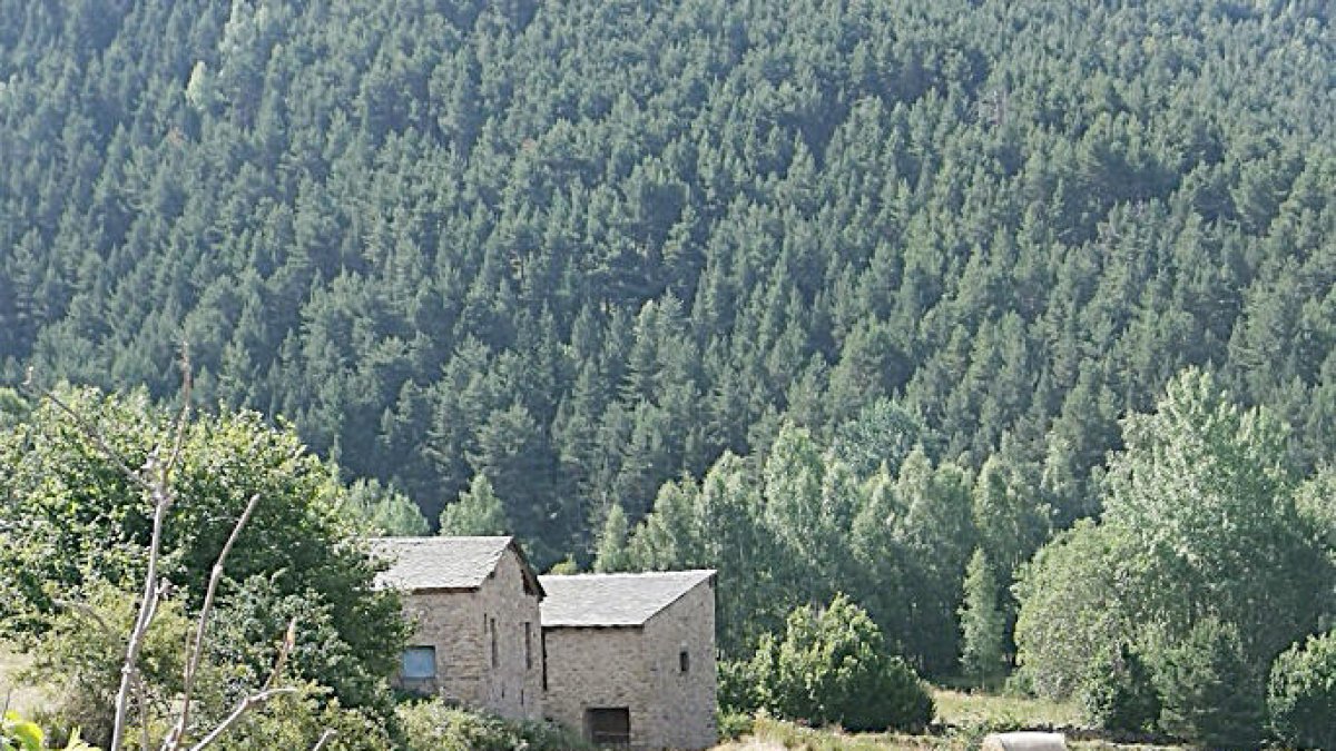 Estampa estiuenca i agrícola captada per Jordi Dolcet al pla d'Engolasters després de la recollida de l'herba dels camps.
