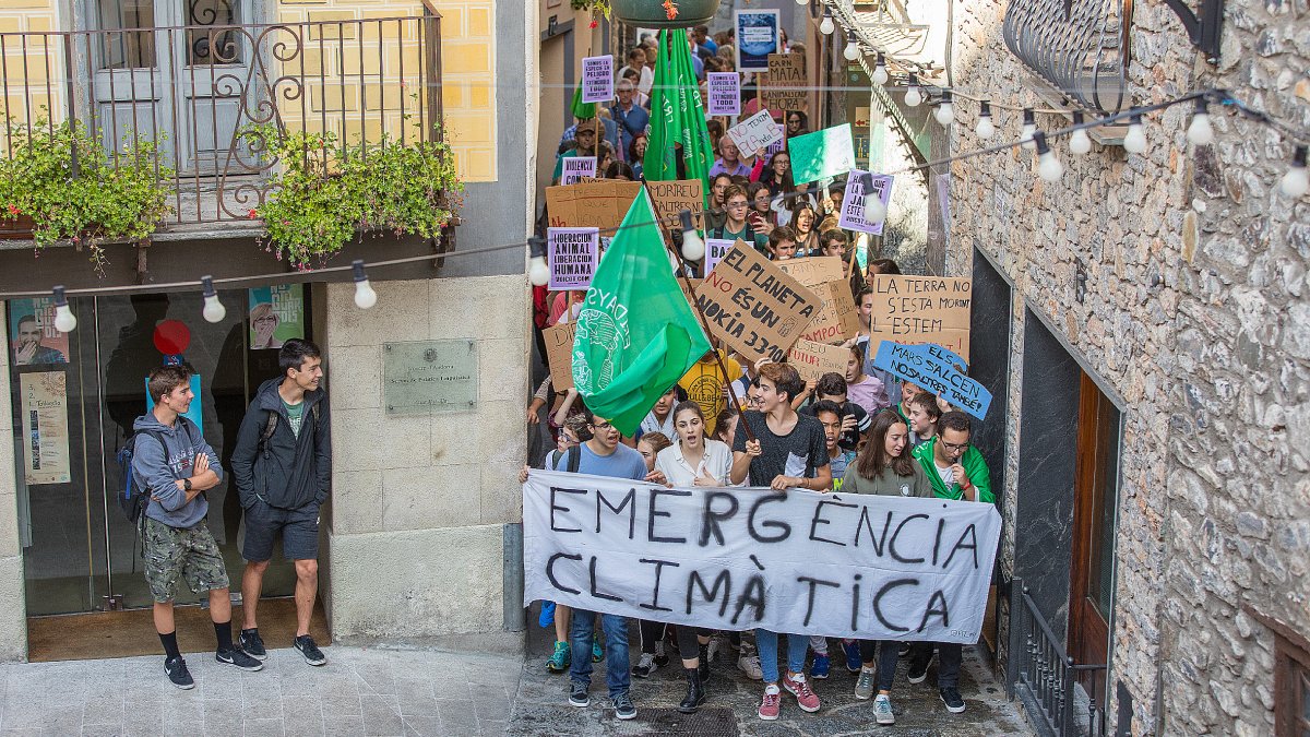 Manifestació Fridays for Future