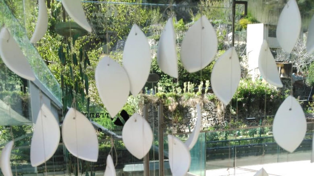 Esther Armengol ocupa aquest mes l'espai d'art La Peixera