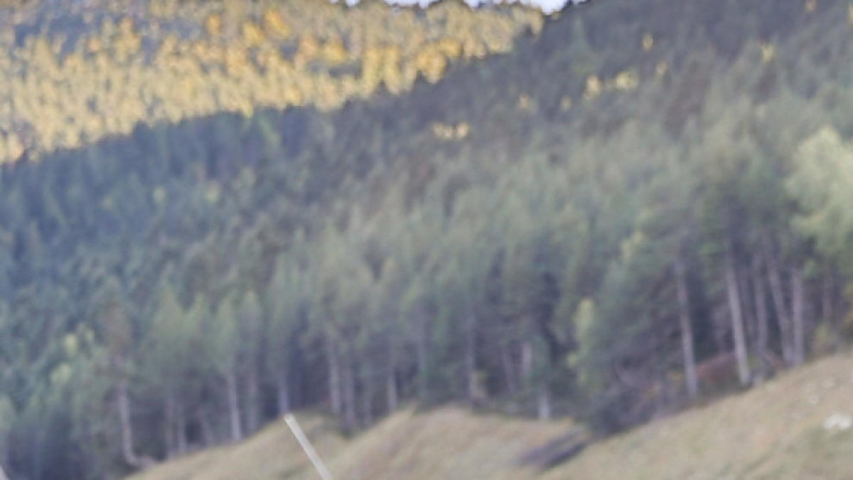 L'altra cara de Carles Visa