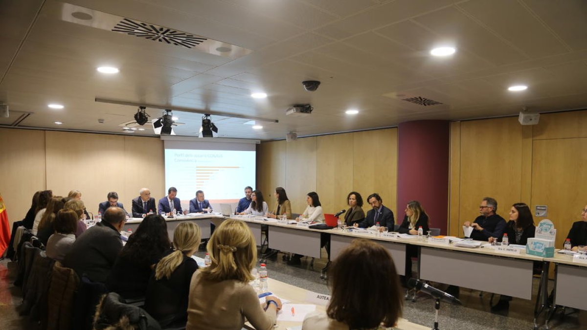 El Govern presenta un nou model pels drets dels discapacitats