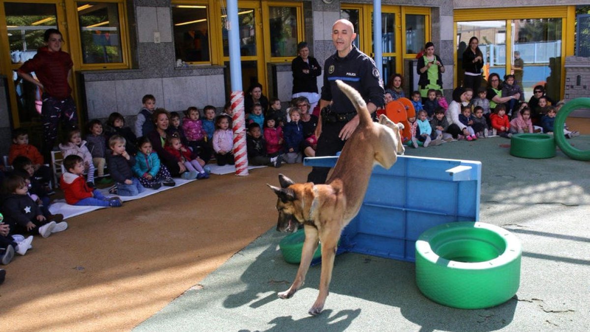 Exhibició de la unitat canina de la policia