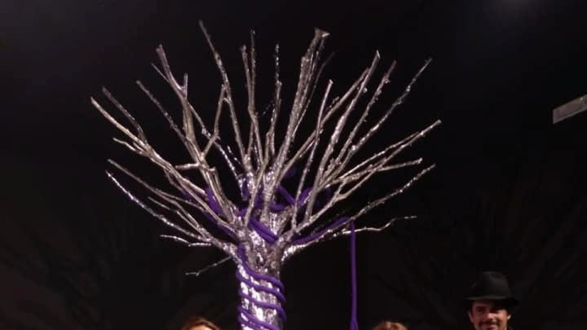 Cultura paga 34.730 euros per allotjar la delegació andorrana a la Biennal de Venècia