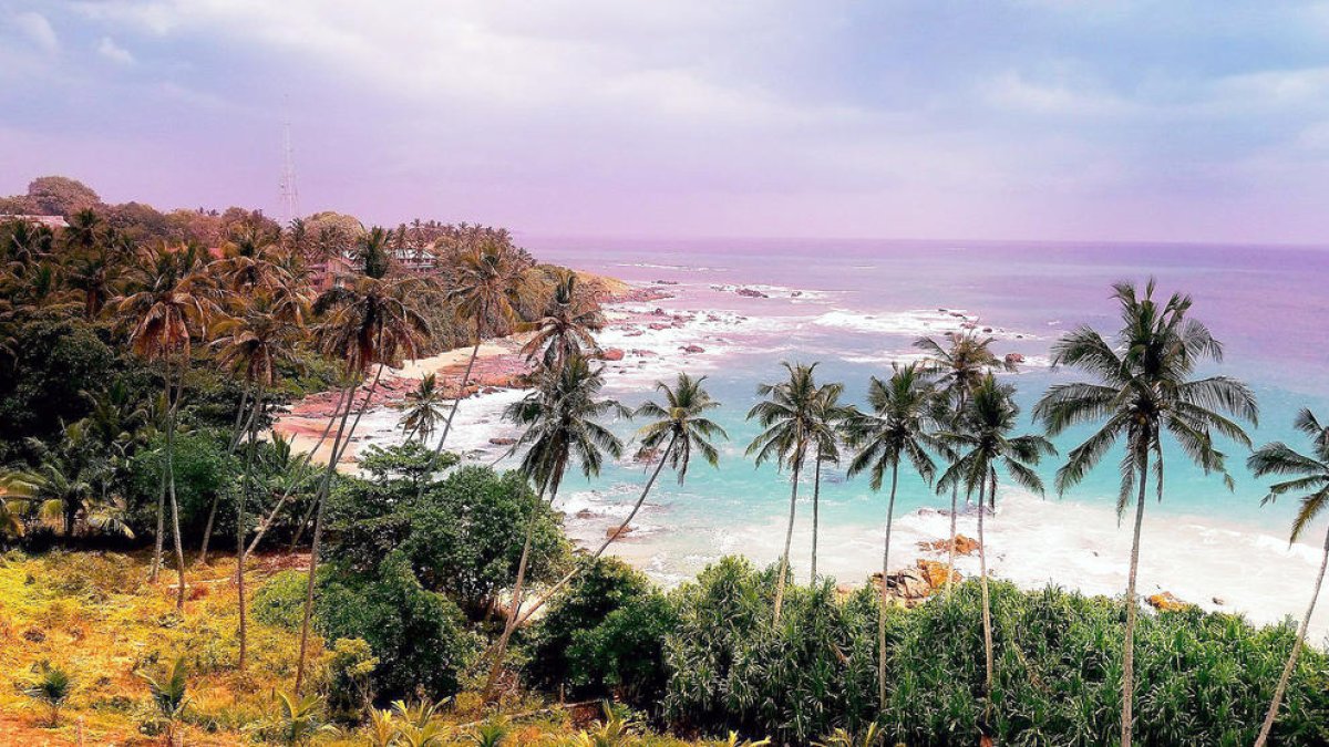 Un any per descobrir noves destinacions