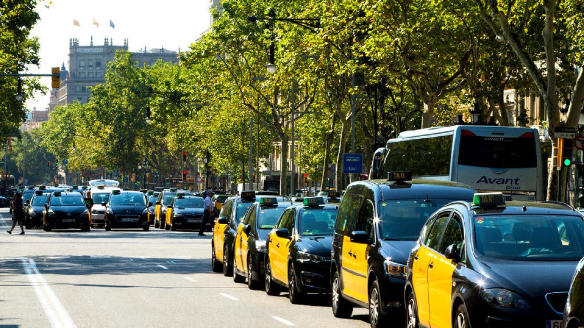 Els taxistes de Barcelona van a la vaga contra la regulació dels VTC