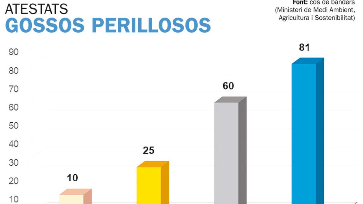 Augmenten els atestats per gossos perillosos