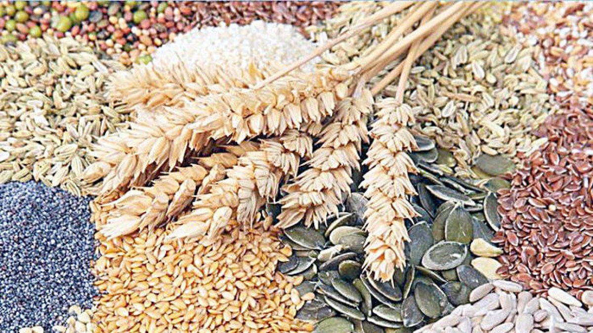Les noves tendències en cereals (I)