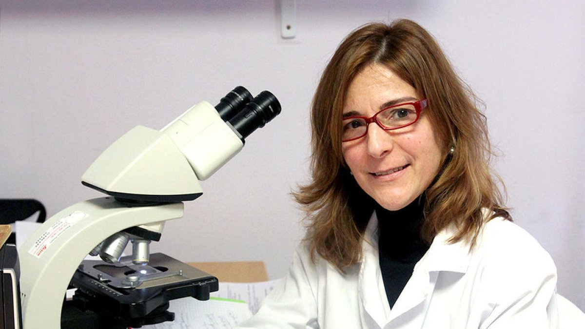 La doctora Ribera-Cortada participa en un estudi contra el càncer