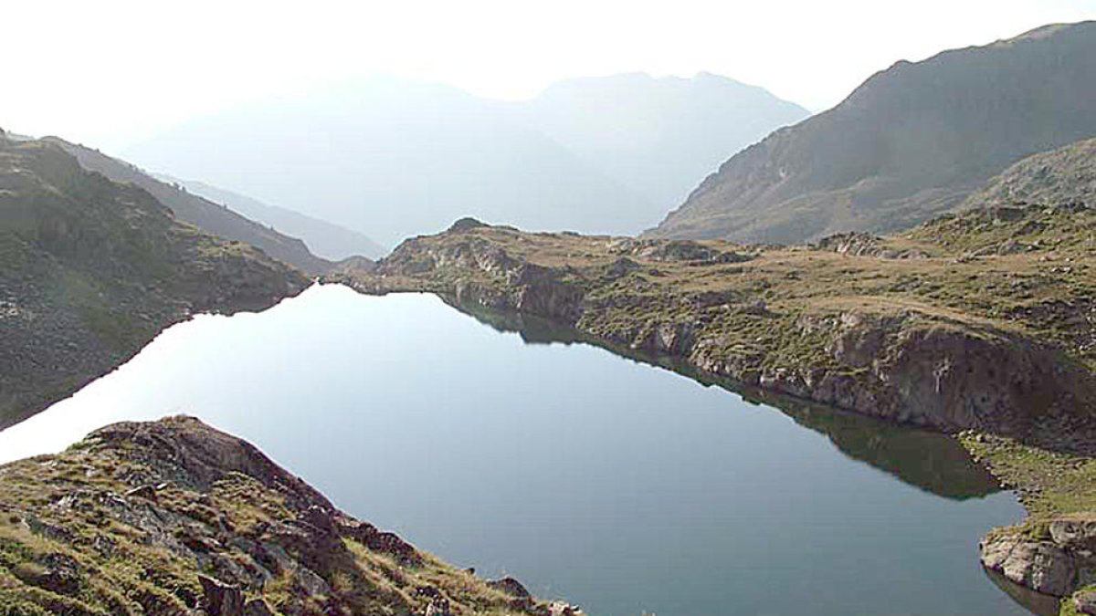 El reflex de la puresa