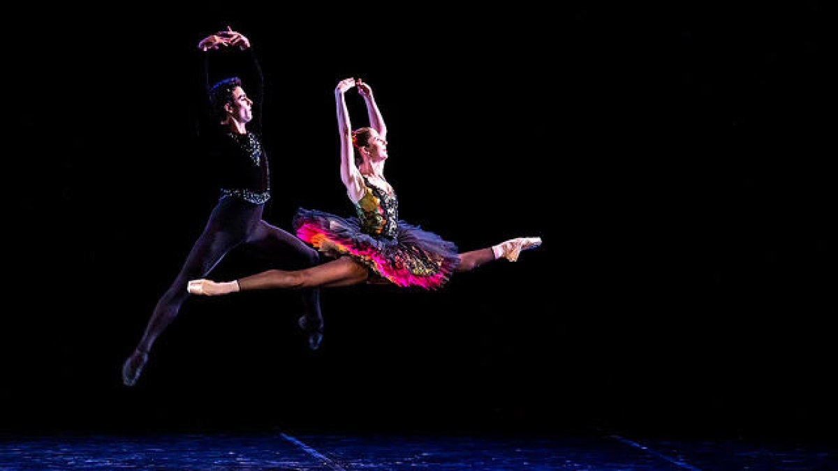 Els fills del Rei Sol