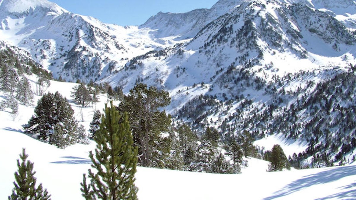 Parc natural de la vall de Sorteny.
