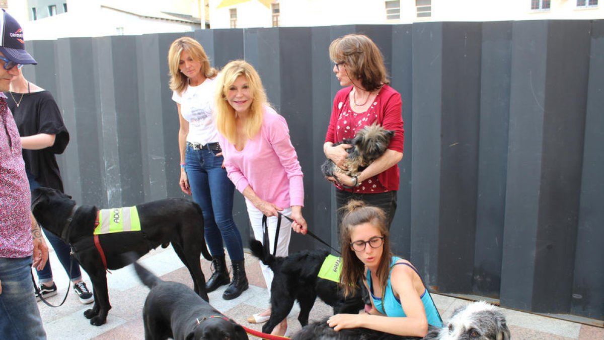 Gran participació al 'Plenair' del Museu Carmen Thyssen