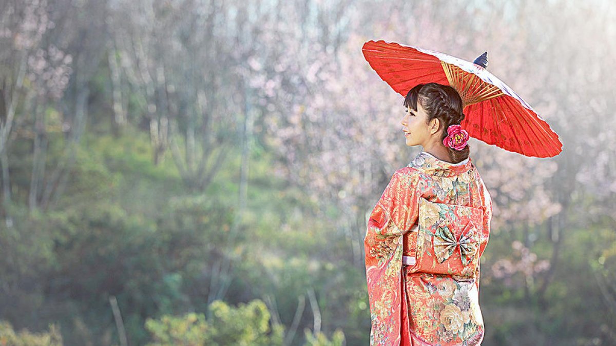 Viatges de contrastos