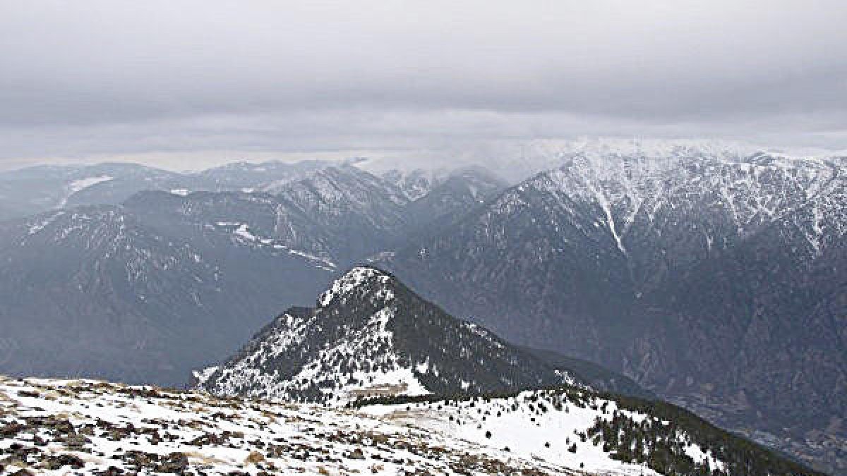 Entre frondoses pinedes