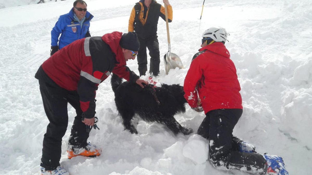 Jornada dels equips d'estudi de la neu francesos