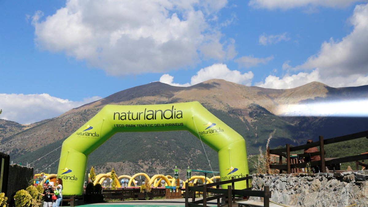 Desperta Laurèdia es mostra oberta a participar a les comunals