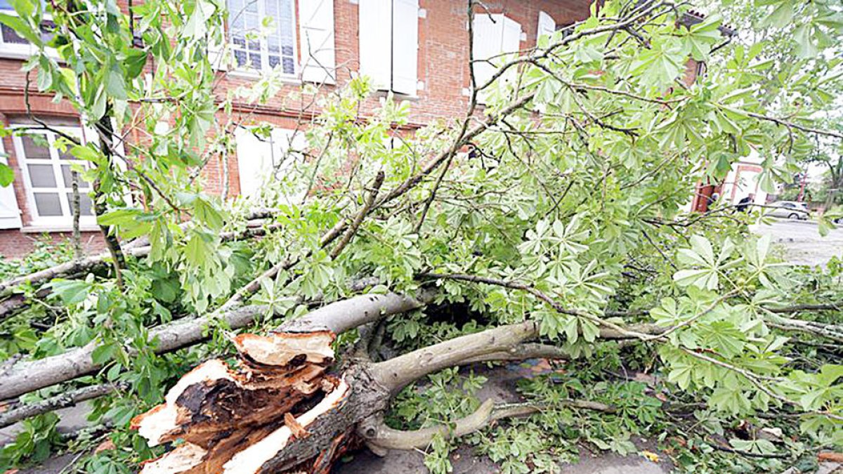 Un fort temporal causa importants desperfectes a l'àrea de Tolosa