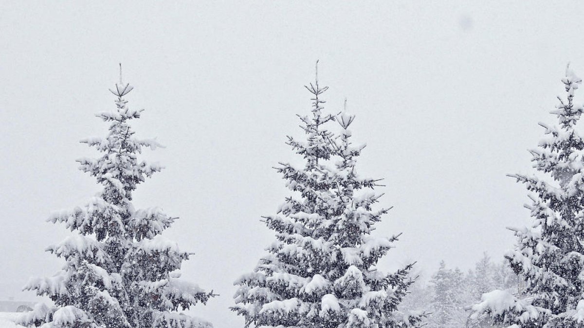Un any de presó condicional per no ajudar una dona morta per una allau