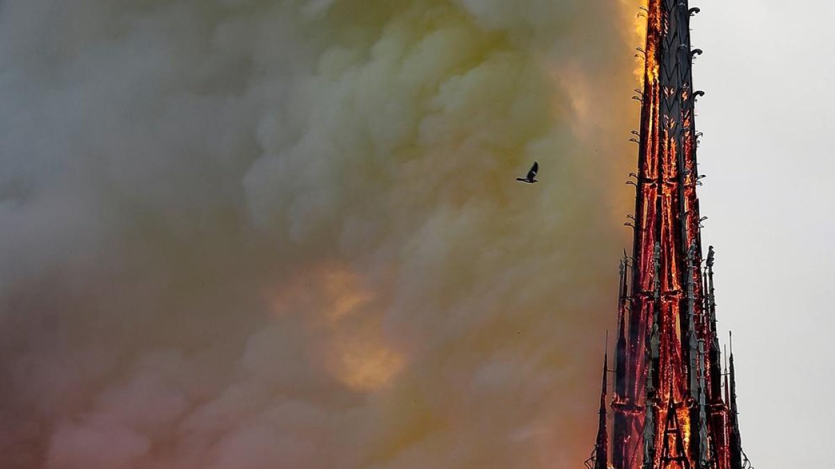 Les autoritats consideren que l'origen del foc