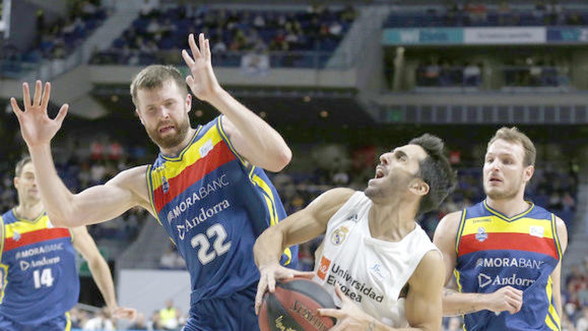 Reyes i Campazzo vindran
