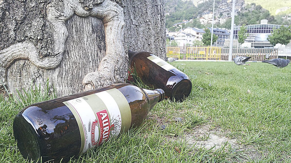 La policia ha imposat 49 sancions per fer 'botellón'