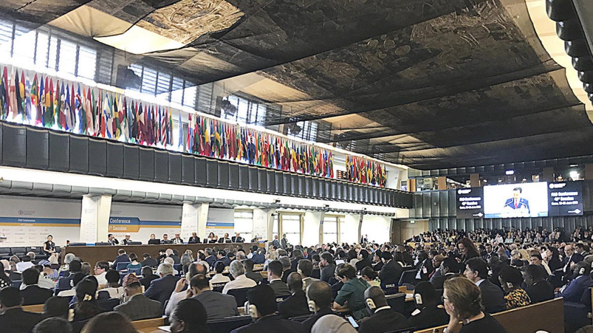 Sílvia Calvó i Marc Rossell participen a la votació del nou director general de FAO