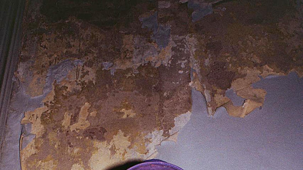 “Molta gent em diu que veu so en l'art que realitzo”