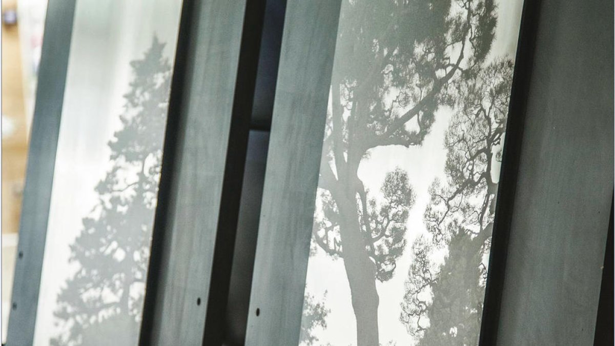 La natura sublimada, segons Mercè