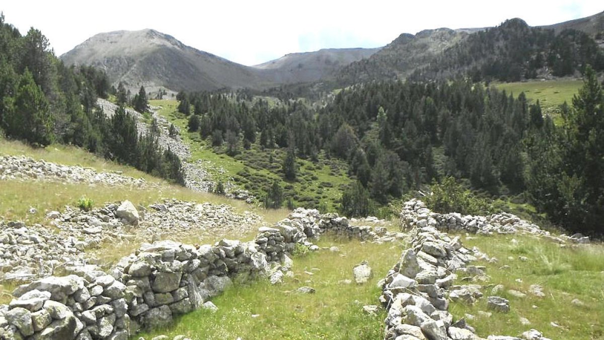 Cursa de Sant Bernabé