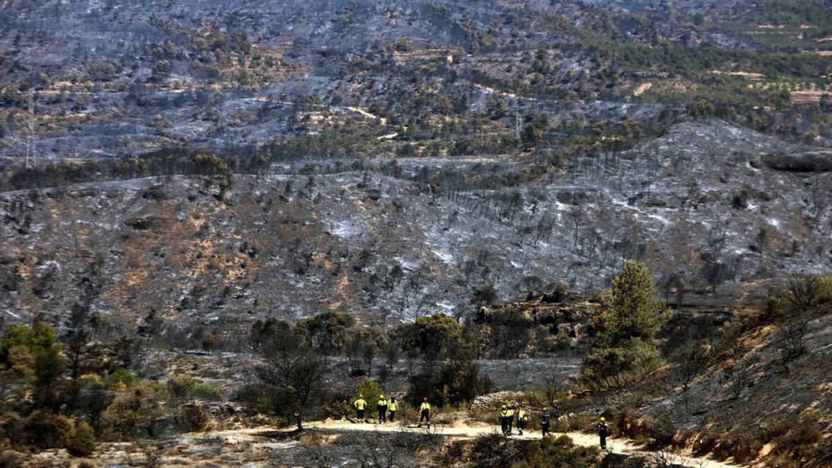 Els bombers estabilitzen el foc de la Ribera d'Ebre