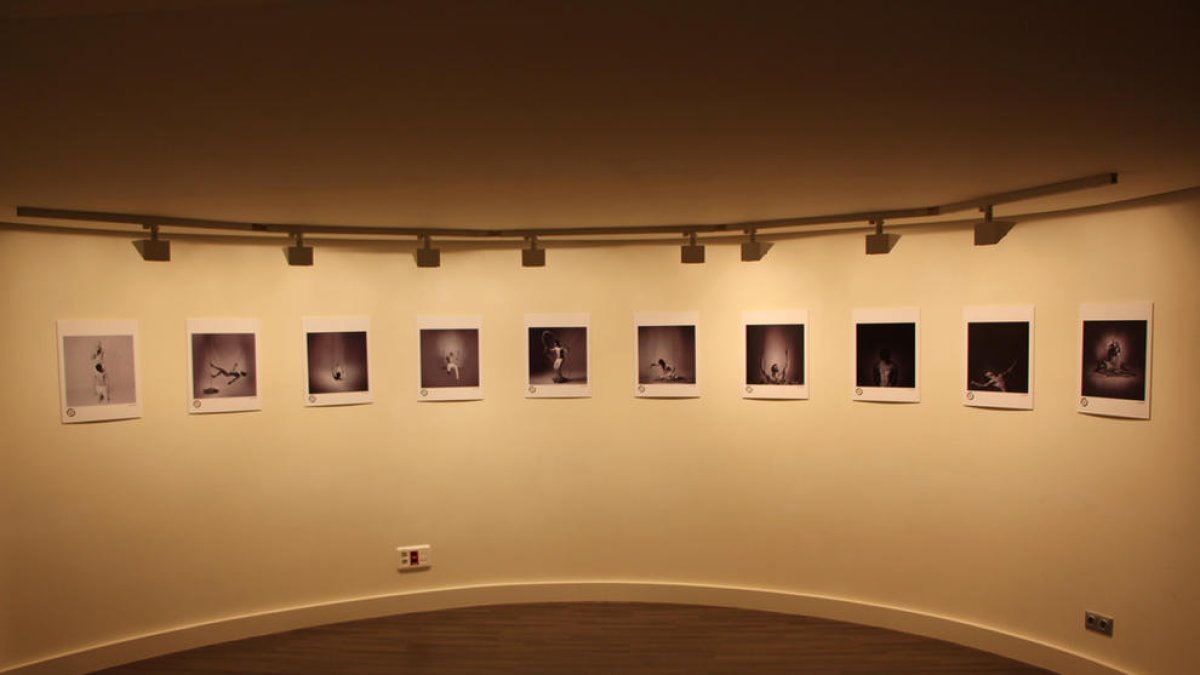 Exposició fotogràfica al centre de congressos