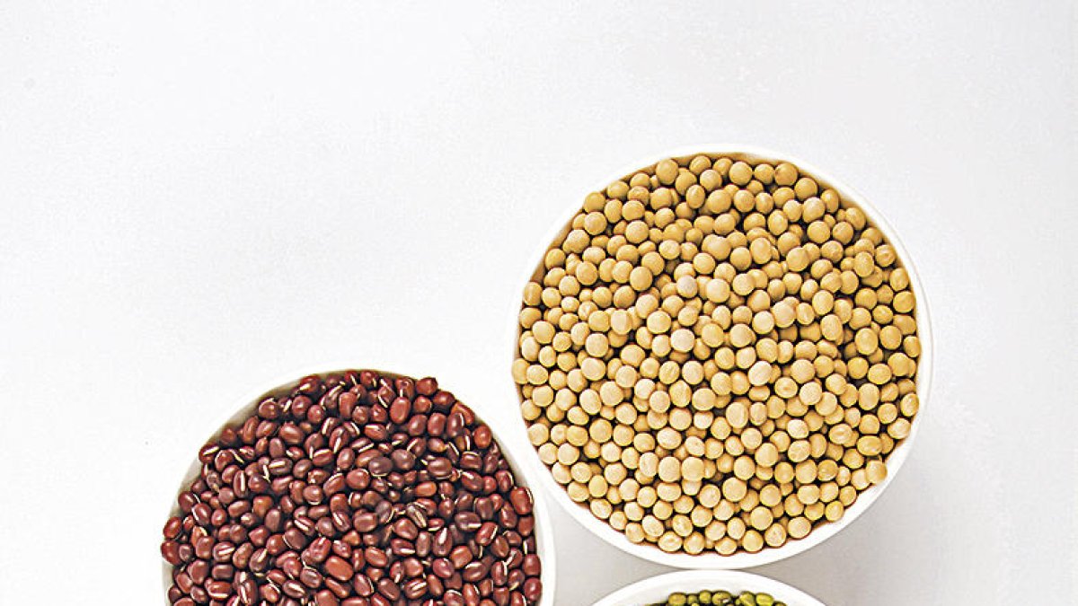 Alimentació de tardor (II)