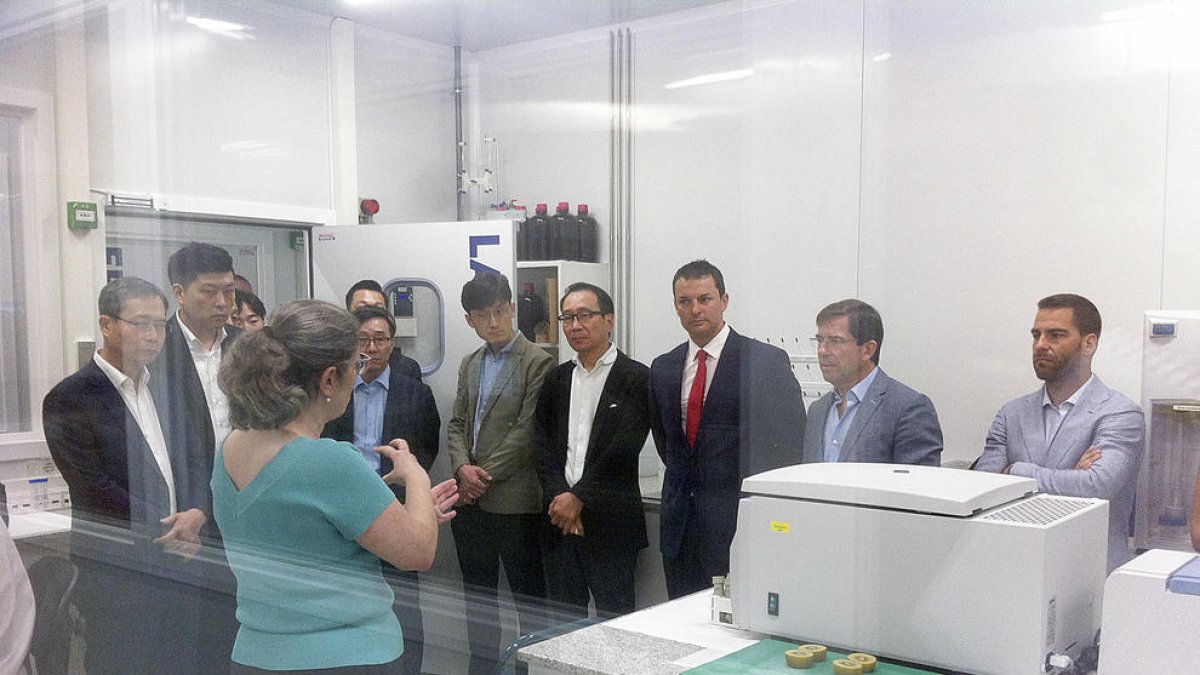 Gallardo advoca per la cooperació per atraure inversors