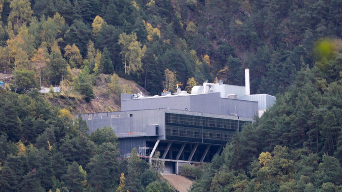 Prova pilot per incinerar els gossos morts i recuperar-ne les cendres