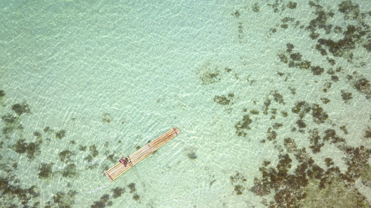 Guanyadors del 5è concurs 'Un estiu per emmarcar'