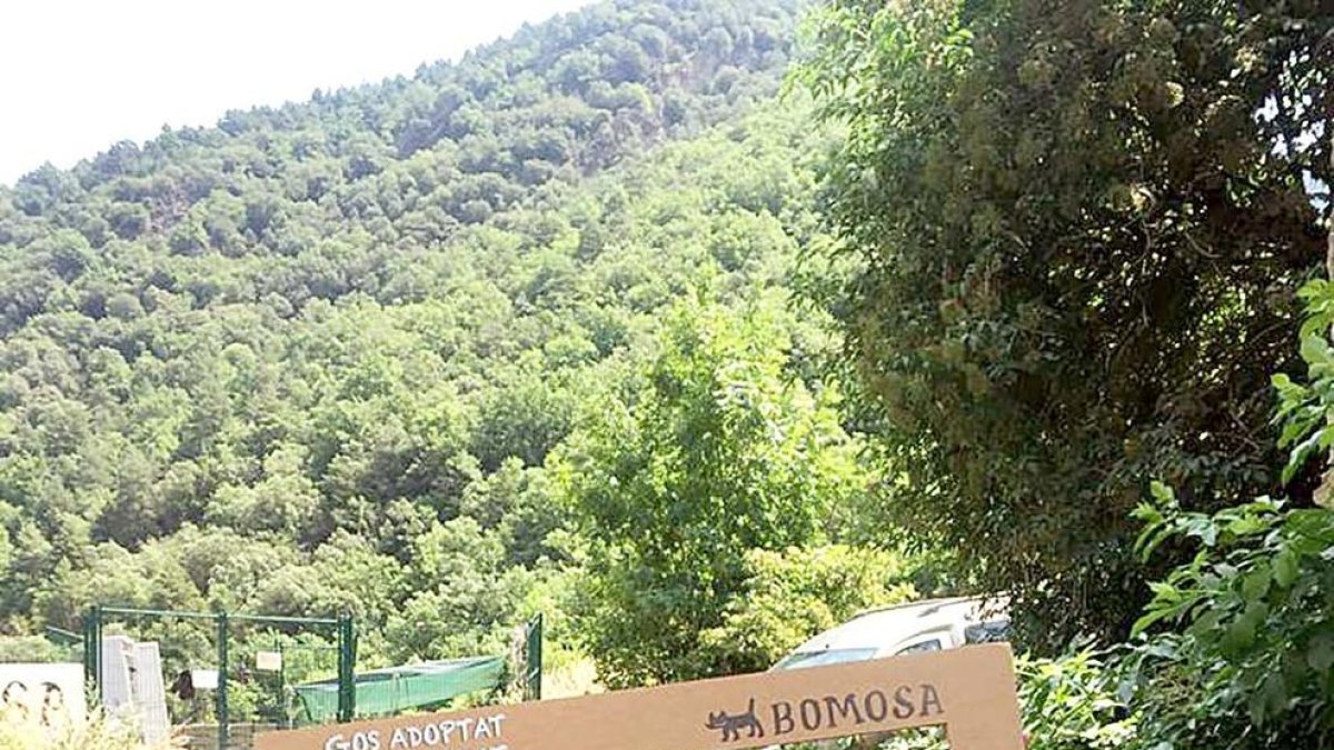 Jornada de portes obertes a la gossera amb 57 persones