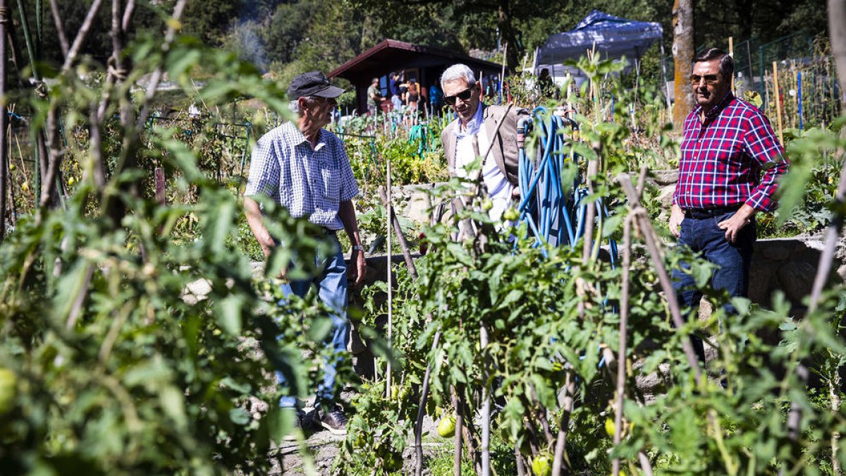 Els hortolans de la Margineda finalitzen la temporada