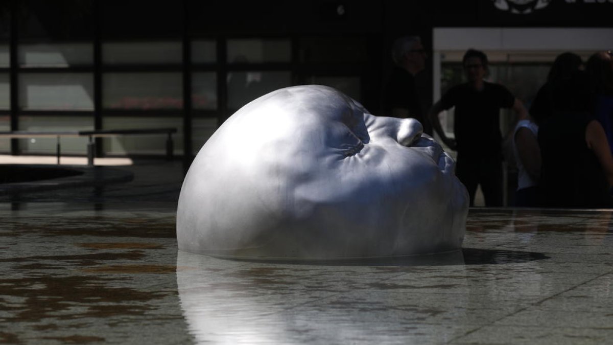 Els 'Animals' de Samuel Salcedo