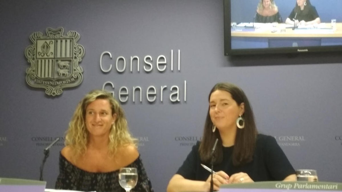 Els càrrecs públics hauran de declarar el patrimoni, però no serà públic