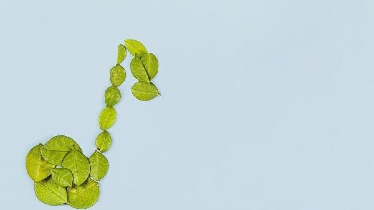 Consciència amb el canvi climàtic