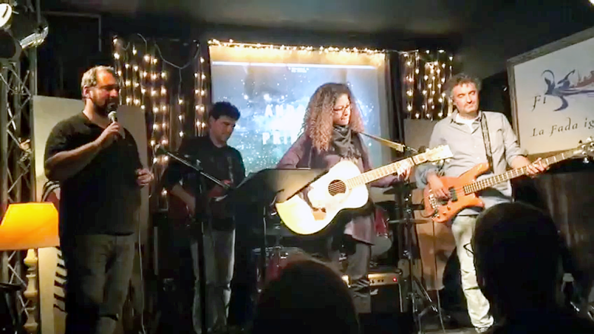 Tocar la guitarra acústica i, de vegades, l'elèctrica