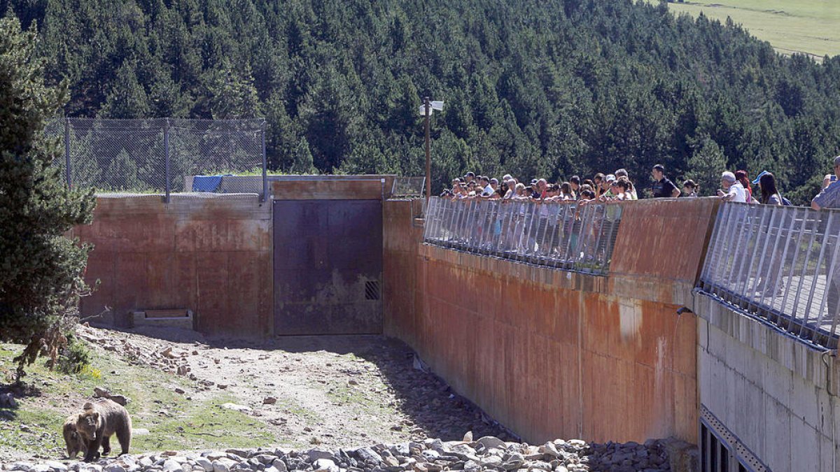 Apapma assegura que “treballa” per tancar el parc d'animals de Naturlandia